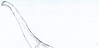 Dinozaurul Austrosaurus, un erbivor nativ în Australia de astăzi