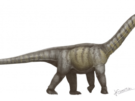 Dinozaurul Camarasaurus, un sauropod de dimensiuni mai mici