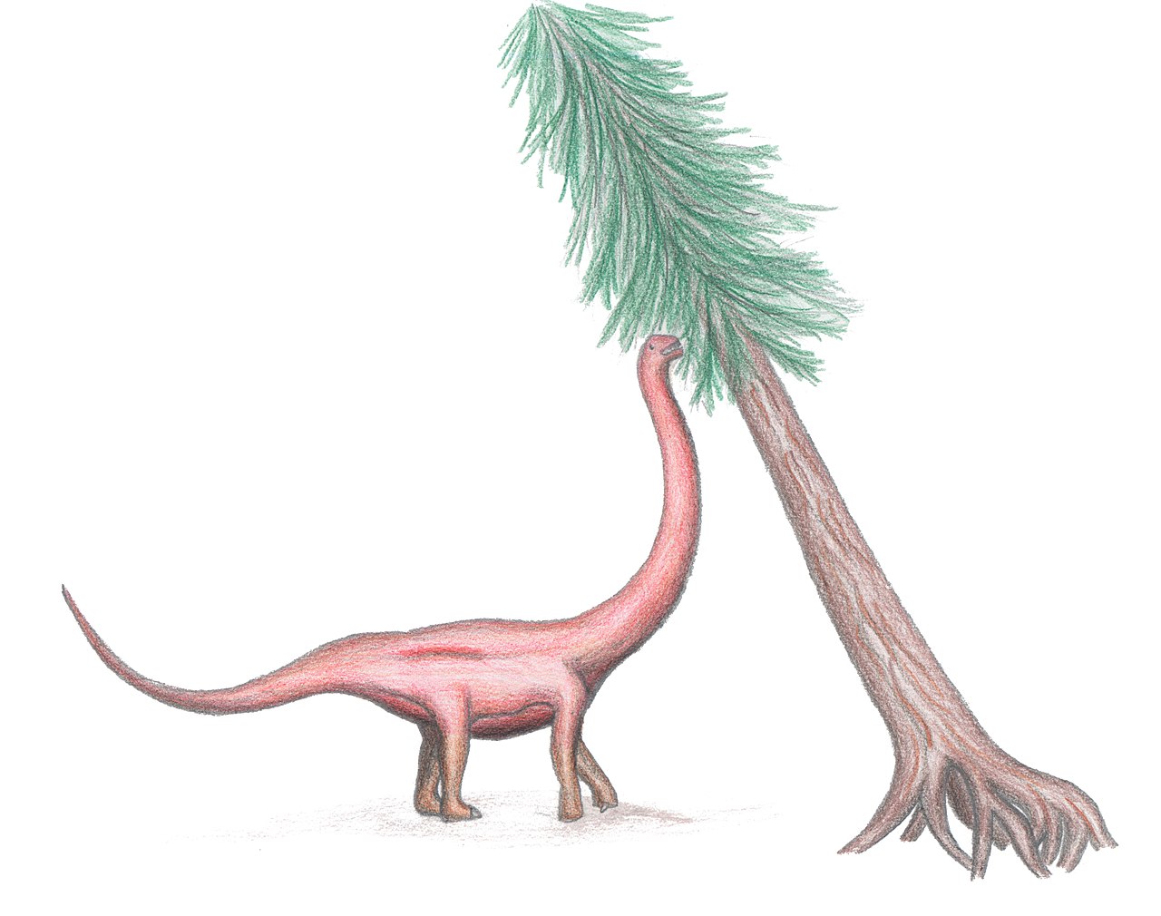 Dinozaurul Cetiosauriscus, descoperit de către paleontologul Frederich von Huene