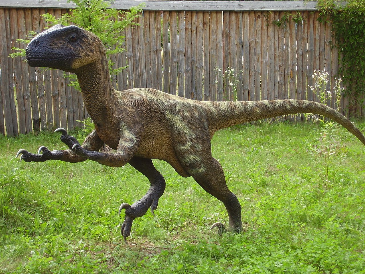 Dinozaurul Deinonychus