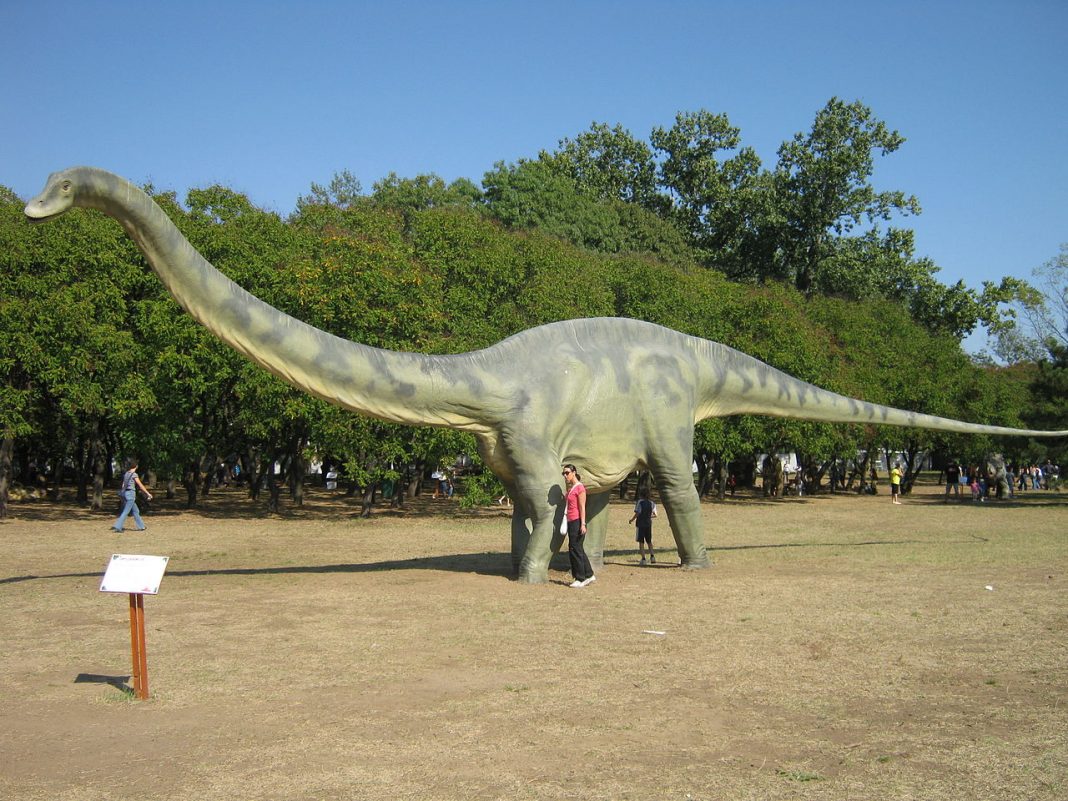 Dinozaurul Diplodocus, unul dintre cele mai cunoscute sauropode Dinozaurul Diplodocus, unul dintre cele mai cunoscute sauropode