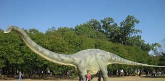 Dinozaurul Diplodocus, unul dintre cele mai cunoscute sauropode