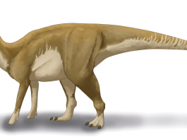 Dinozaurul Hadrosaurus, o șopârlă imensă descoperită în America