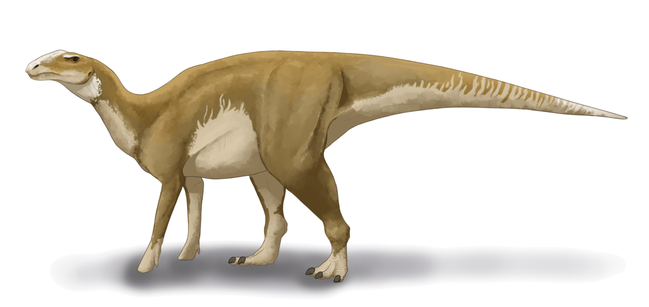 Dinozaurul Hadrosaurus, o șopârlă imensă descoperită în America