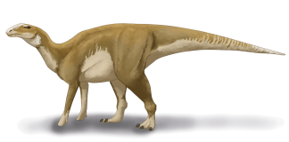 Dinozaurul Hadrosaurus, o șopârlă imensă descoperită în America