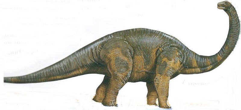 Hypselosaurus, Foto: pixshark.com