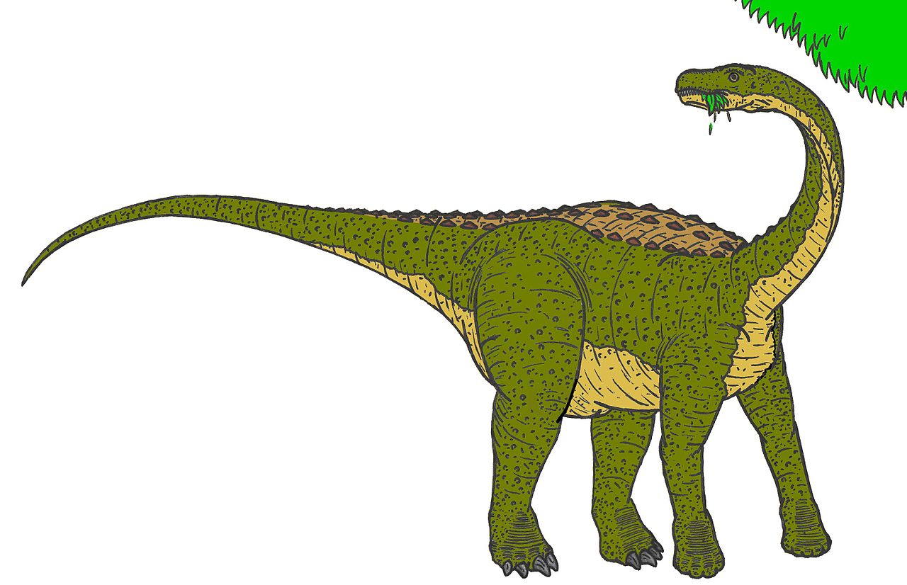 Magyarosaurus