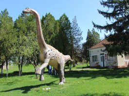 Magyarosaurus, un dinozaur pitic care a trăit în Transilvania