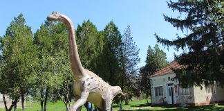 Magyarosaurus, un dinozaur pitic care a trăit în Transilvania