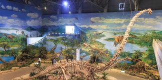 Mamenchisaurus, dinozaurul cu gâtul cel mai lung din era Mezozoică, Jurasicul superior