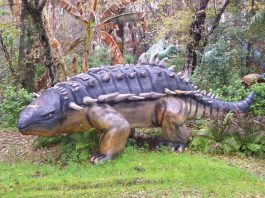 Psittacosaurus, un dinozaurul papagal din era Mezozoică