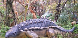 Psittacosaurus, un dinozaurul papagal din era Mezozoică