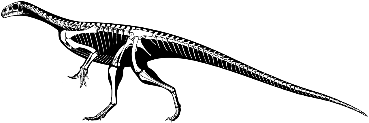 Thecodontosaurus, printre primii dinozauri descoperiți