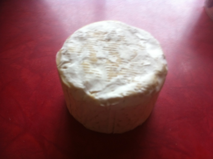 Branza Camembert acoperita cu penicilina, Foto: myblogofcheese.wordpress.com