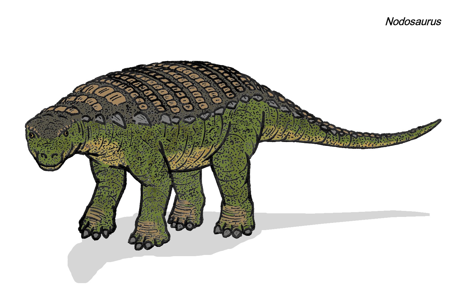 Dinozaurul Nodosaurus, o șopârlă cu noduri din Cretacicul superior