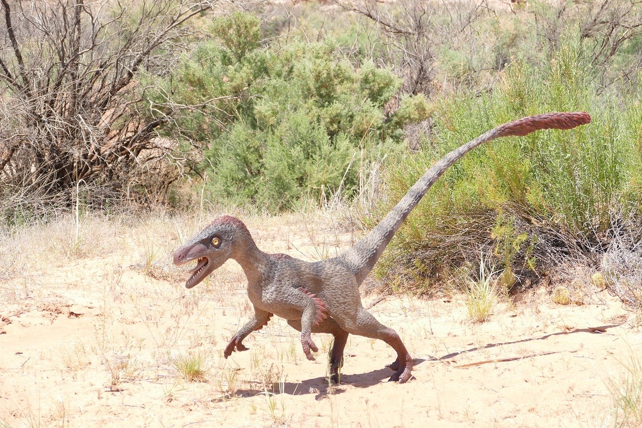 Dinozaurul Velociraptor, o fiară cu gheare ca niște cuțite