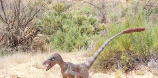 Dinozaurul Velociraptor, o fiară cu gheare ca niște cuțite