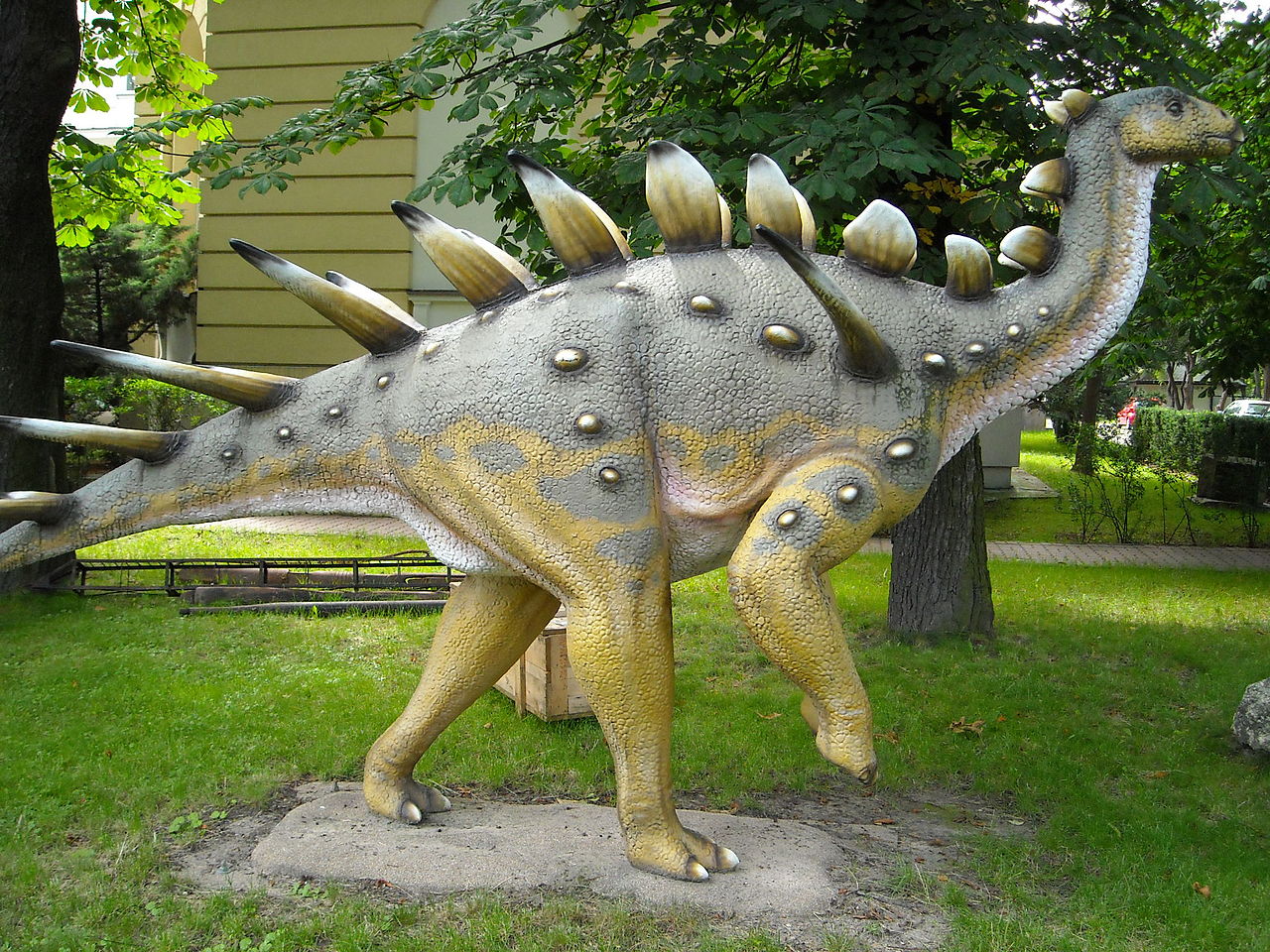 Kentrosaurus