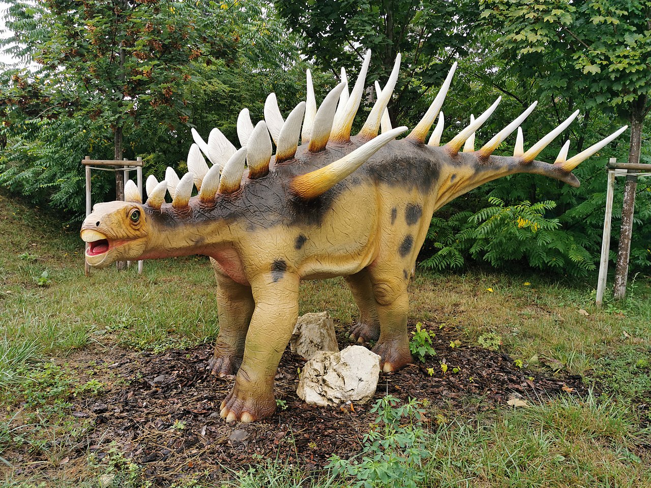 Kentrosaurus, dinozaurul african cu spini care a trăit în era Mezozoica, în Jurasicul superior