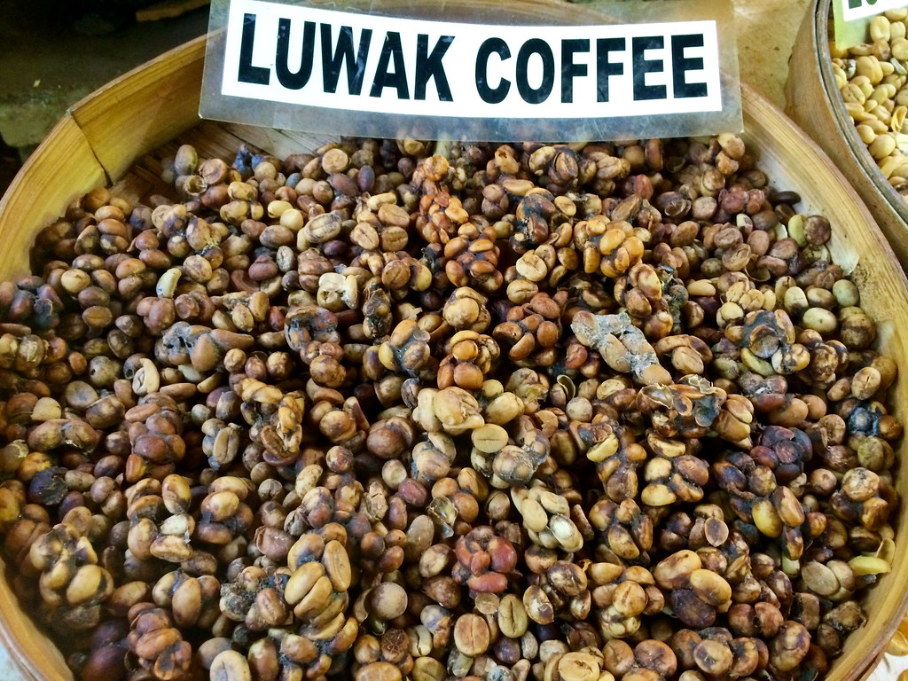 Kopi Luwak