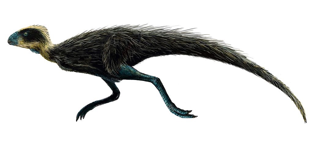 Pisanosaurus, dinozaurul erbivor descoperit în Argentina