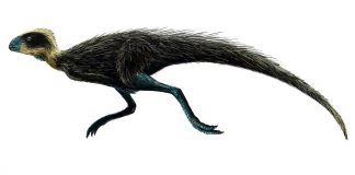 Pisanosaurus, dinozaurul erbivor descoperit în Argentina