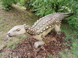 Scelidosaurus, dinozaurul cu armură din era Mezozoică