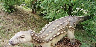 Scelidosaurus, dinozaurul cu armură din era Mezozoică