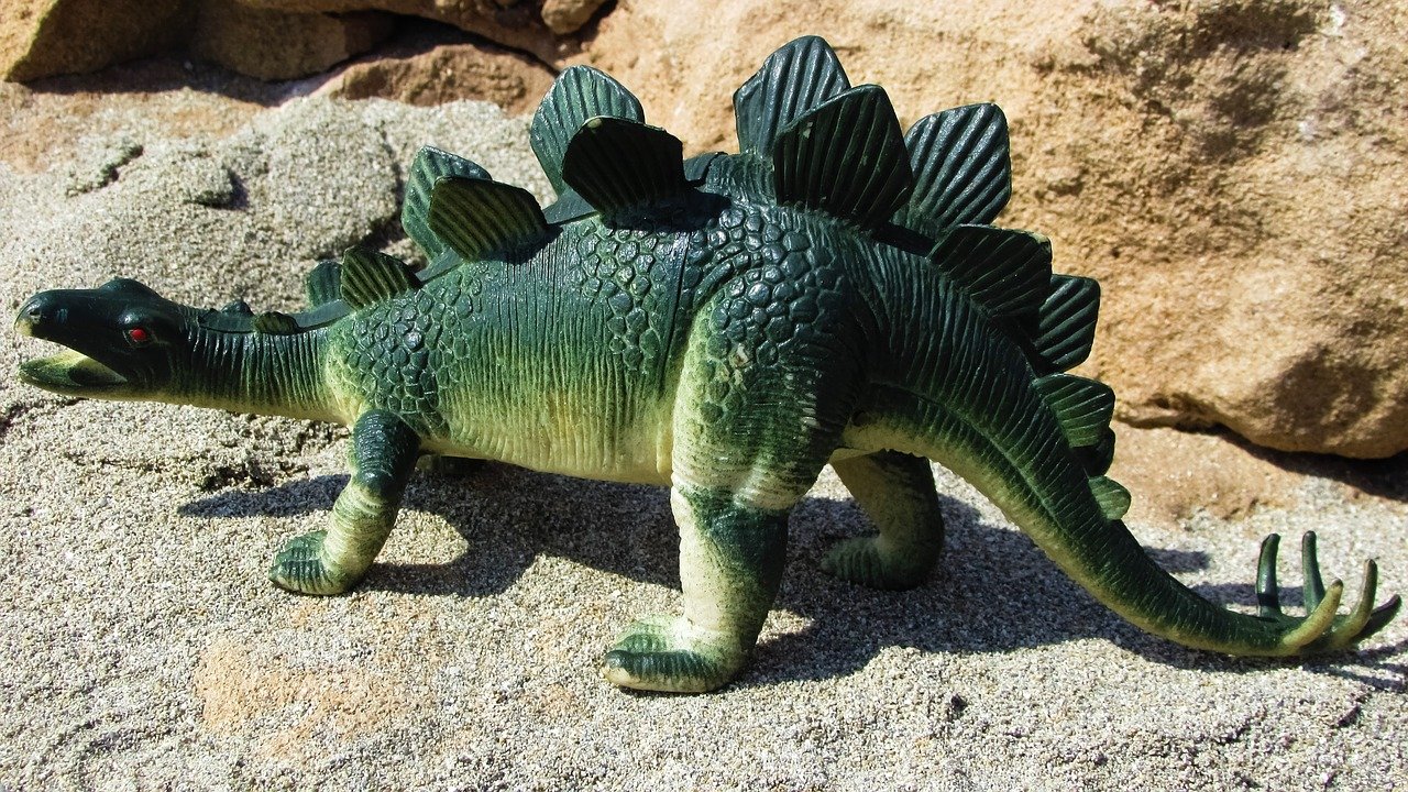 Stegosaurus