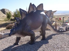 Stegosaurus, dinozaurul cu acoperișul în spinare din Jurasicul superior