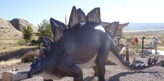 Stegosaurus, dinozaurul cu acoperișul în spinare din Jurasicul superior