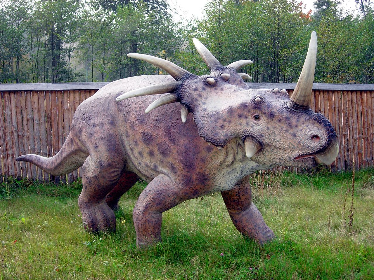 Styracosaurus, un dinozaur cu multe coarne din era Mezozoică