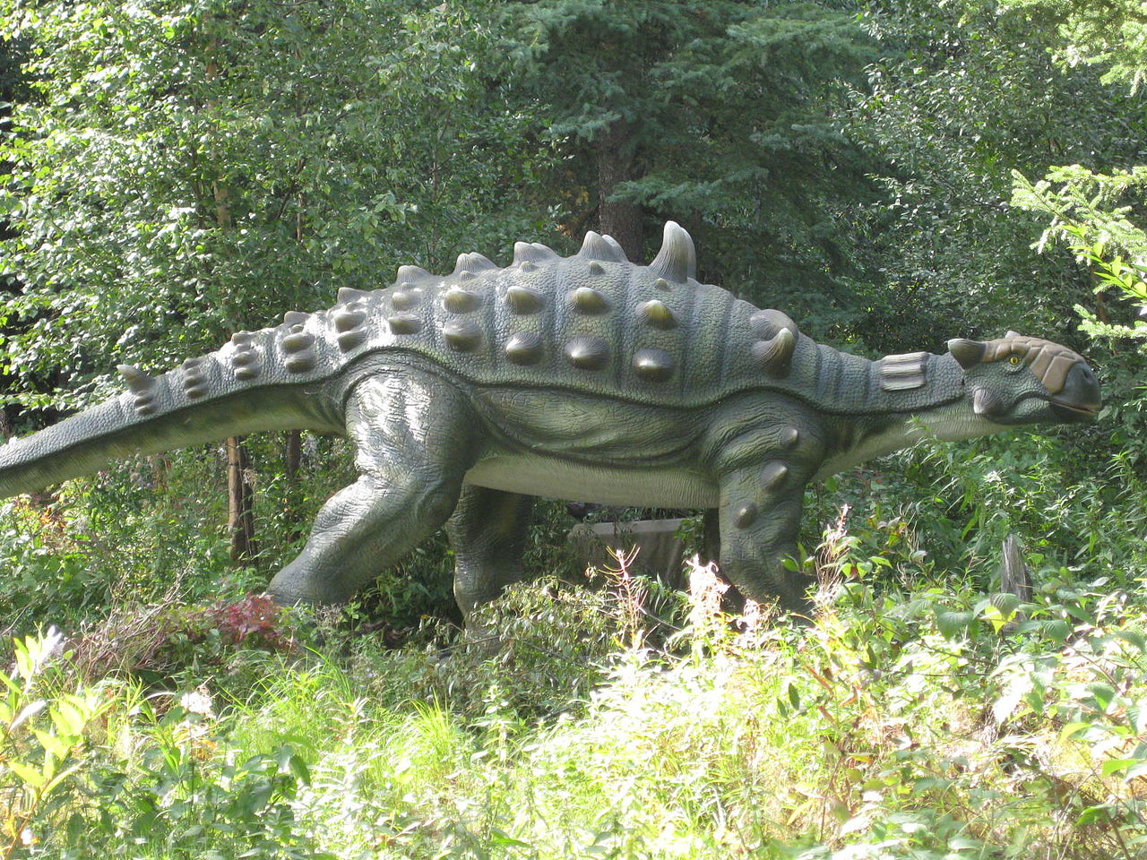 Ankylosaurus