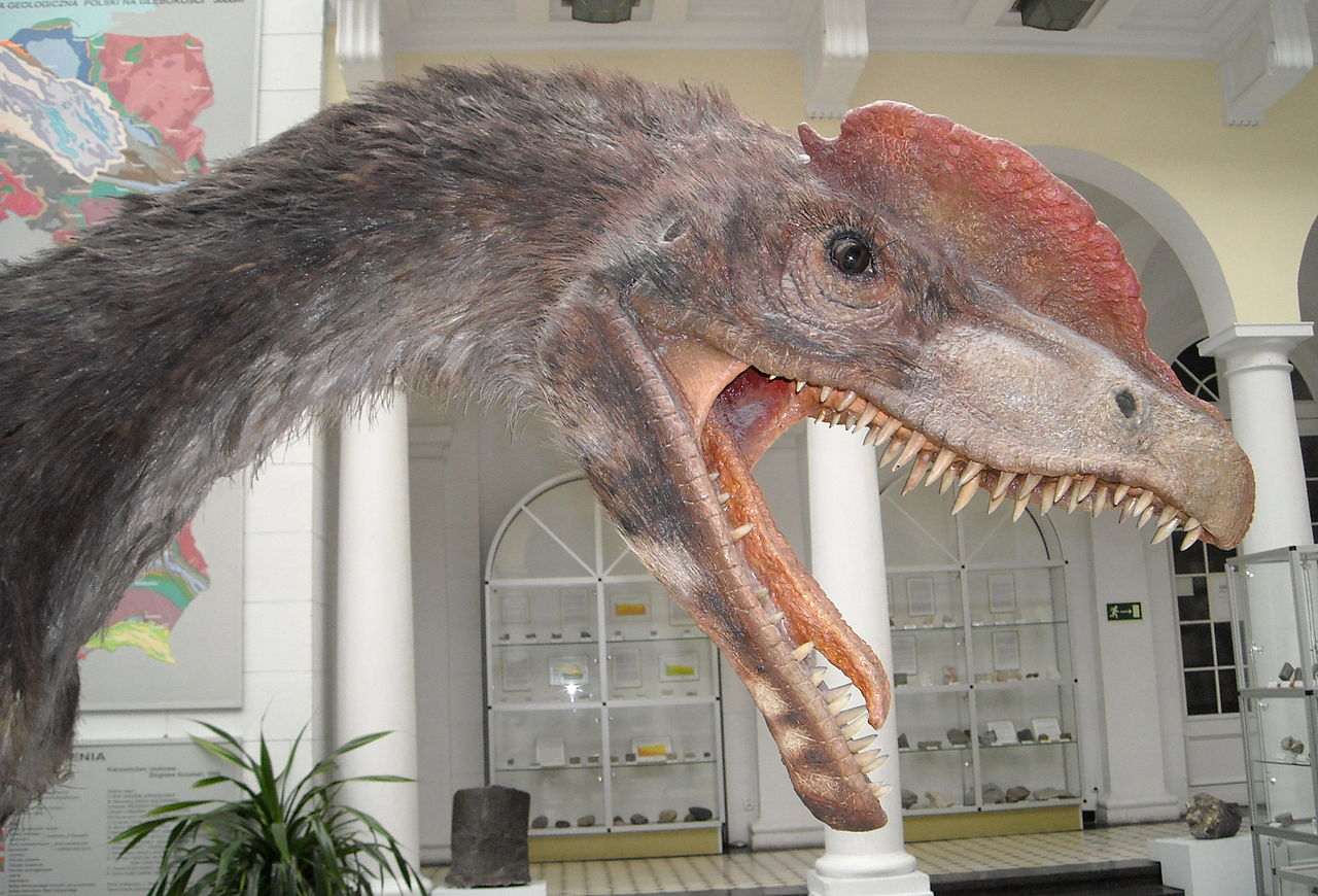 Dilophosaurus, primul dinozaur carnivor descoperit în America