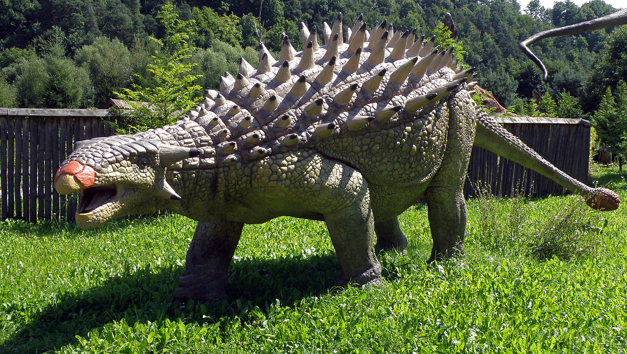 Dinozaurul Ankylosaurus, șopârla strânsă în chingi din Cretacicul superior