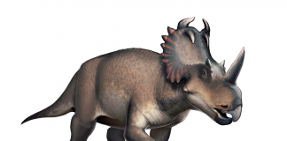 Dinozaurul Centrosaurus a trăit în perioada Cretacicului și avea alura unui rinocer