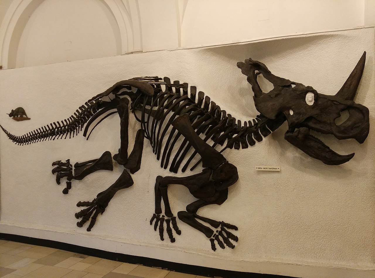 Dinozaurul Centrosaurus