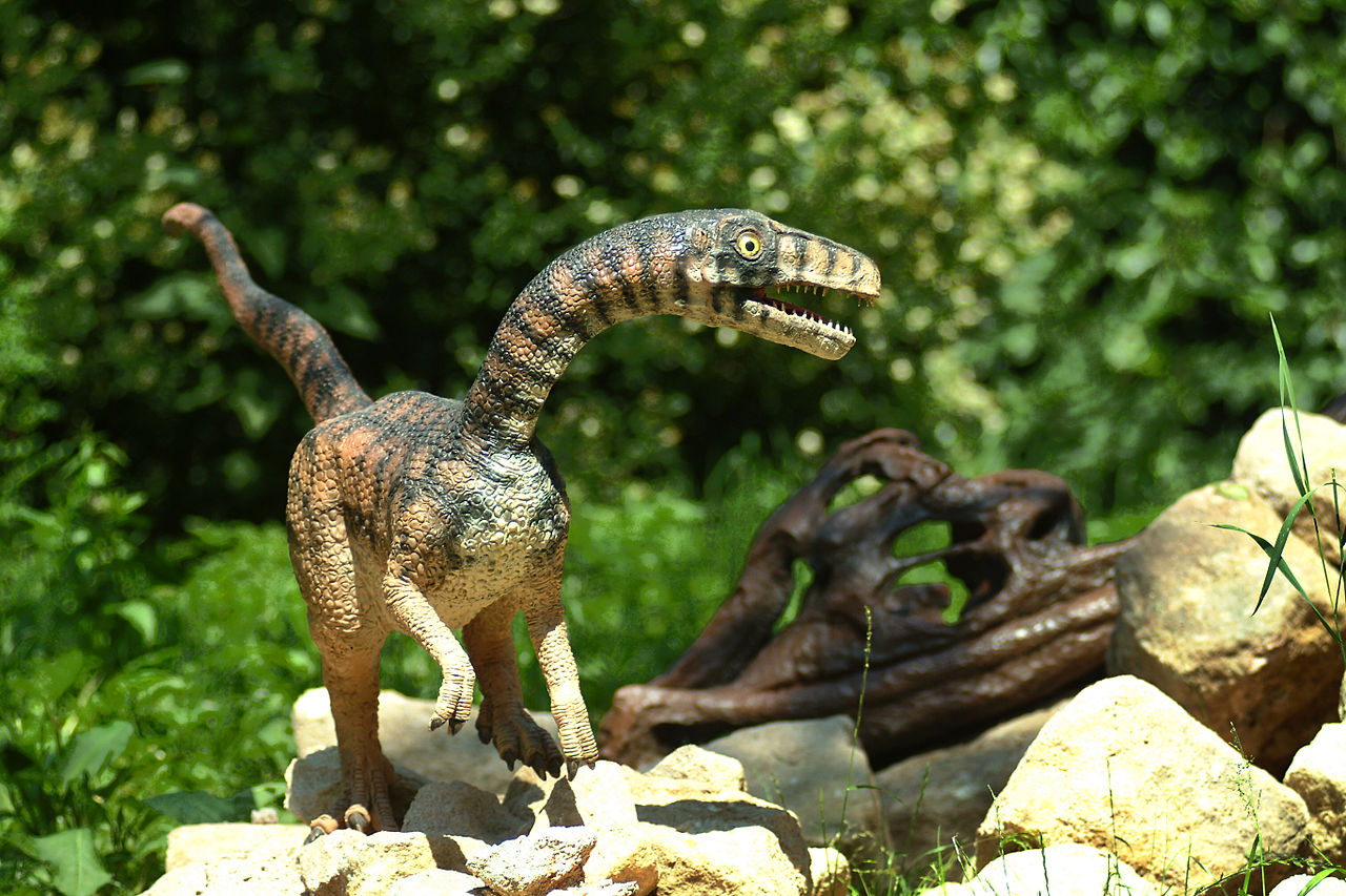 Dinozaurul Compsognathus