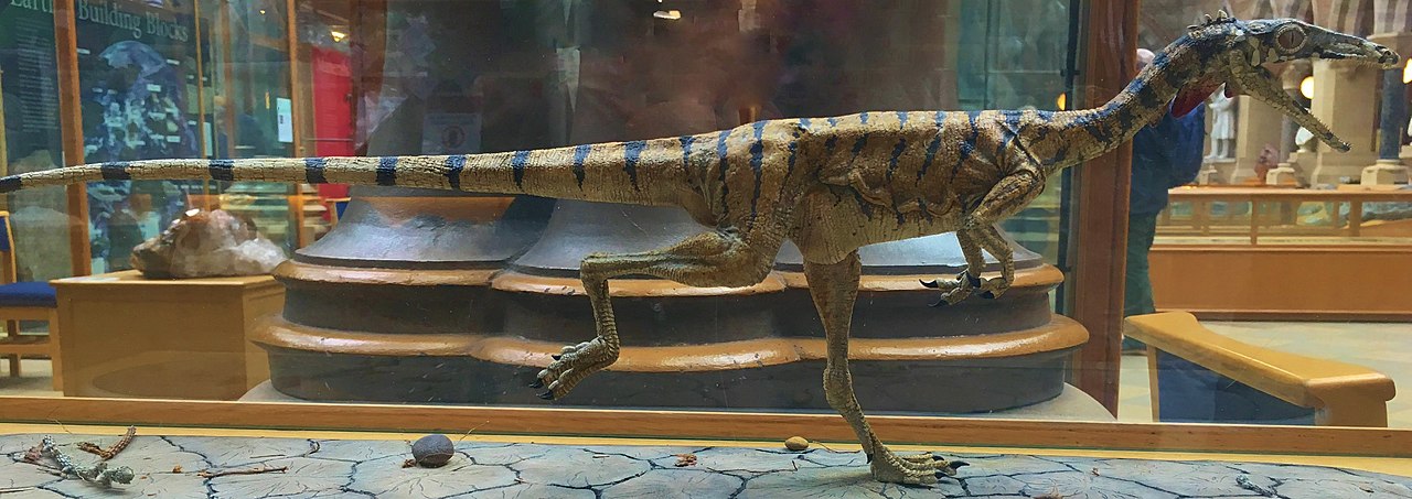 Dinozaurul Compsognathus un carnivor biped din Jurasicul superior