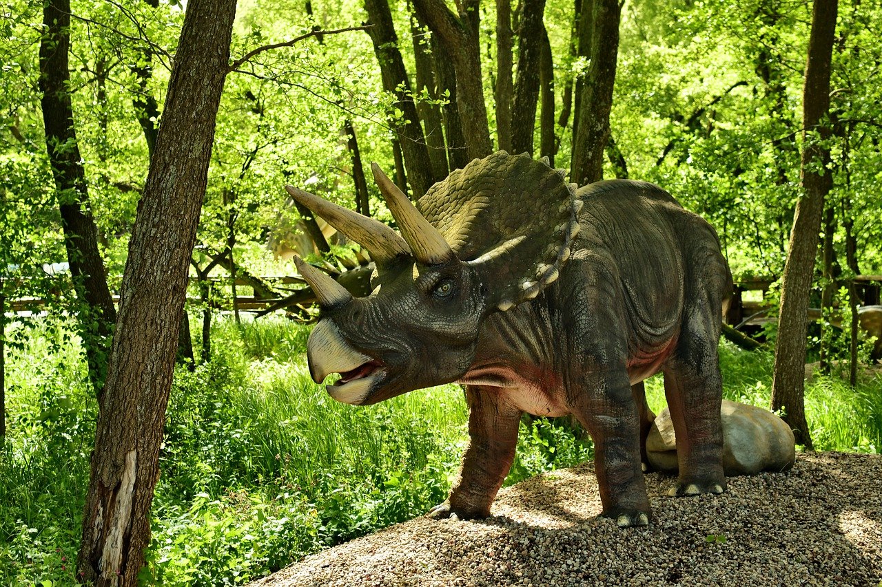 Dinozaurul Triceratops, avea capul cu trei coarne din Cretacicul superior