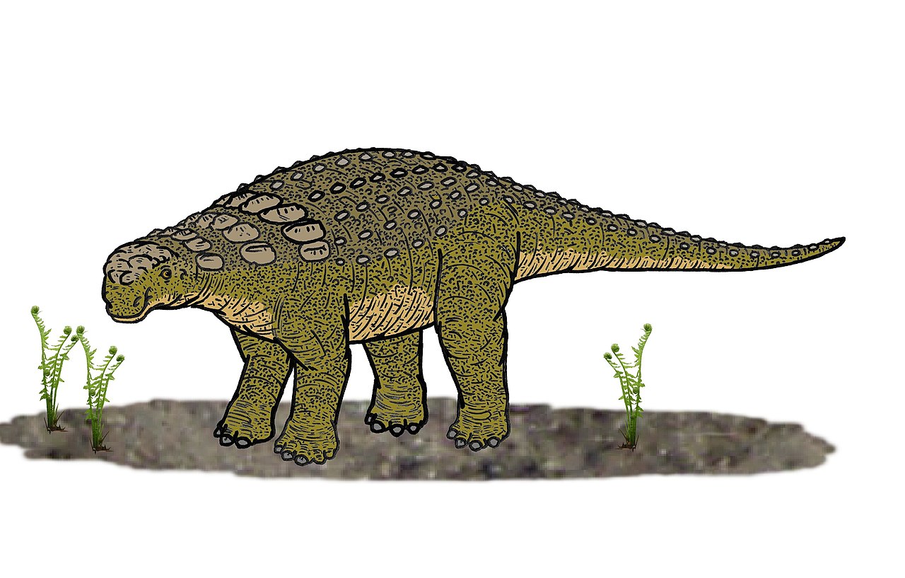 Panoplosaurus, dinozaurul asemănător unui taur