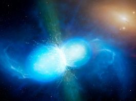 stele neutronice