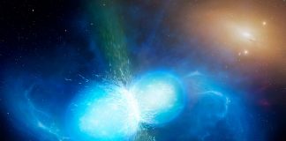 stele neutronice