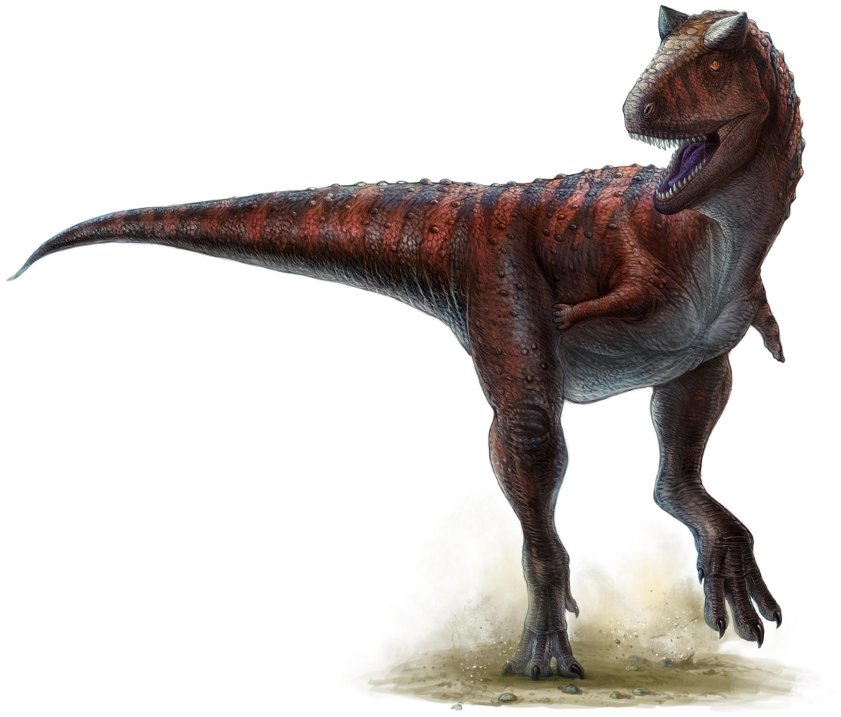 Dinozaurul Carnotaurus - ,,Mâncătorul de carne” din Cretacicul mediu