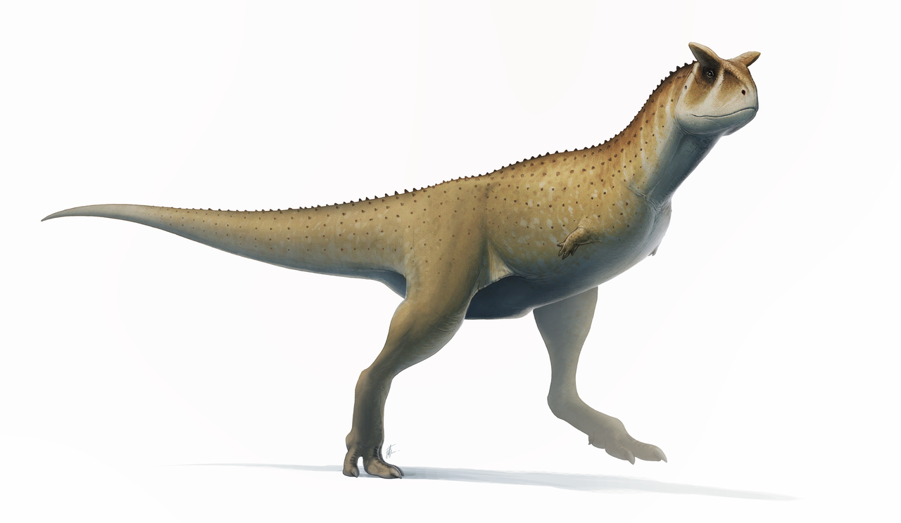 Dinozaurul Carnotaurus