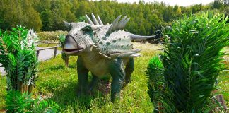 Dinozaurul Polacanthus descoperit în Anglia