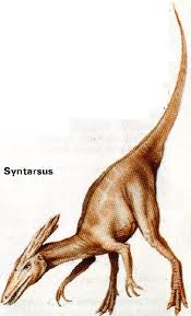 ⁪Dinozaurul Syntarsus