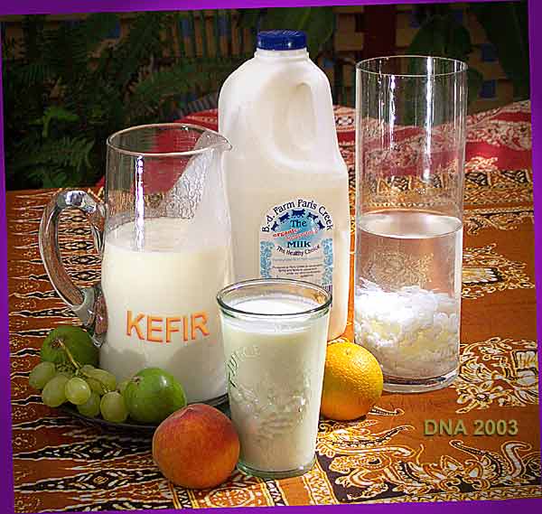 Produse lactate: kefir si culturi lactice, Foto: fibromialgiamelilla.wordpress.com