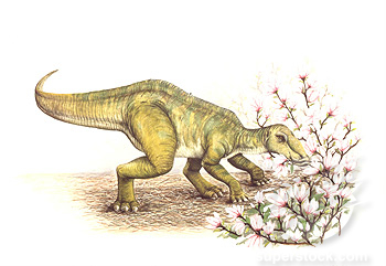 Secernosaurus grazing, Foto: reptossaurus.blogspot.ro