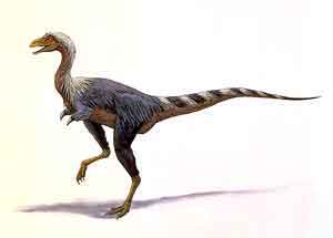 Alvarezsaurus calvoi, Foto: planetdi.startlogic.com 